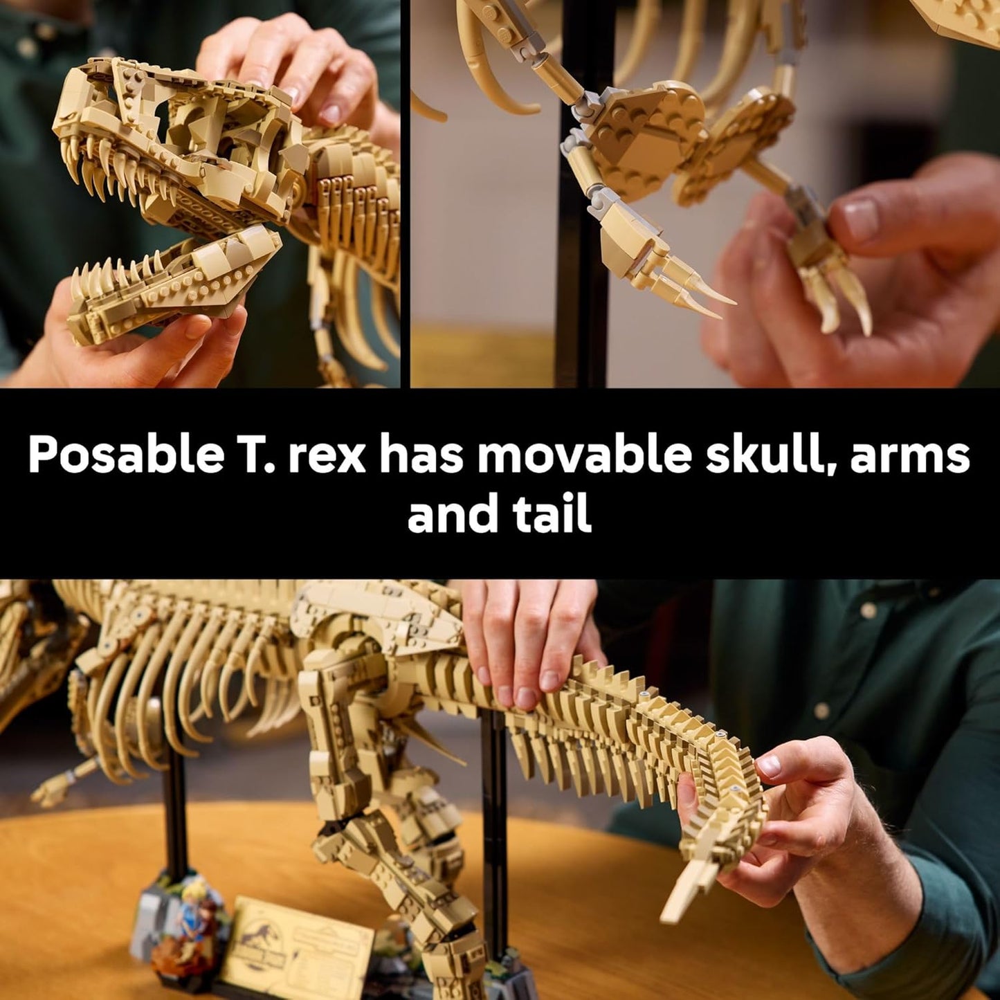 LEGO Jurassic World Dinosaur Fossils: Tyrannosaurus Rex - Building Set for Adults, Ages 18+ - Gift for Birthdays - Home Decor for Bedroom, Office, or Any Room - Collectible DIY Kit - 76968